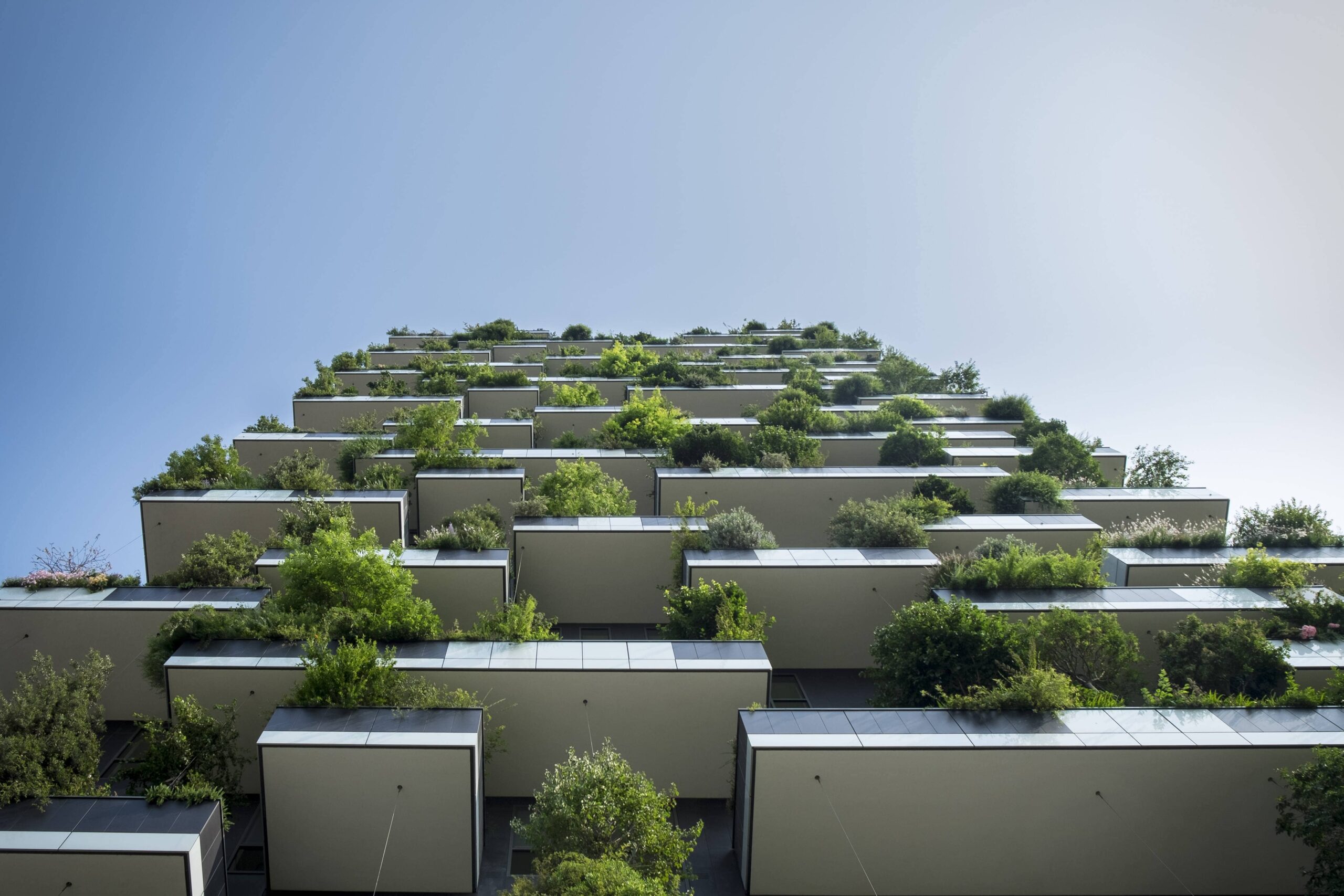 architecture-verte